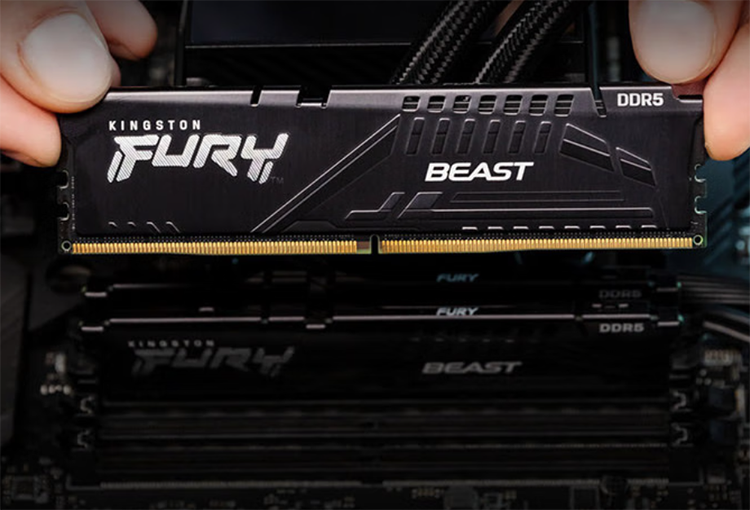 金士顿DDR5内存图片